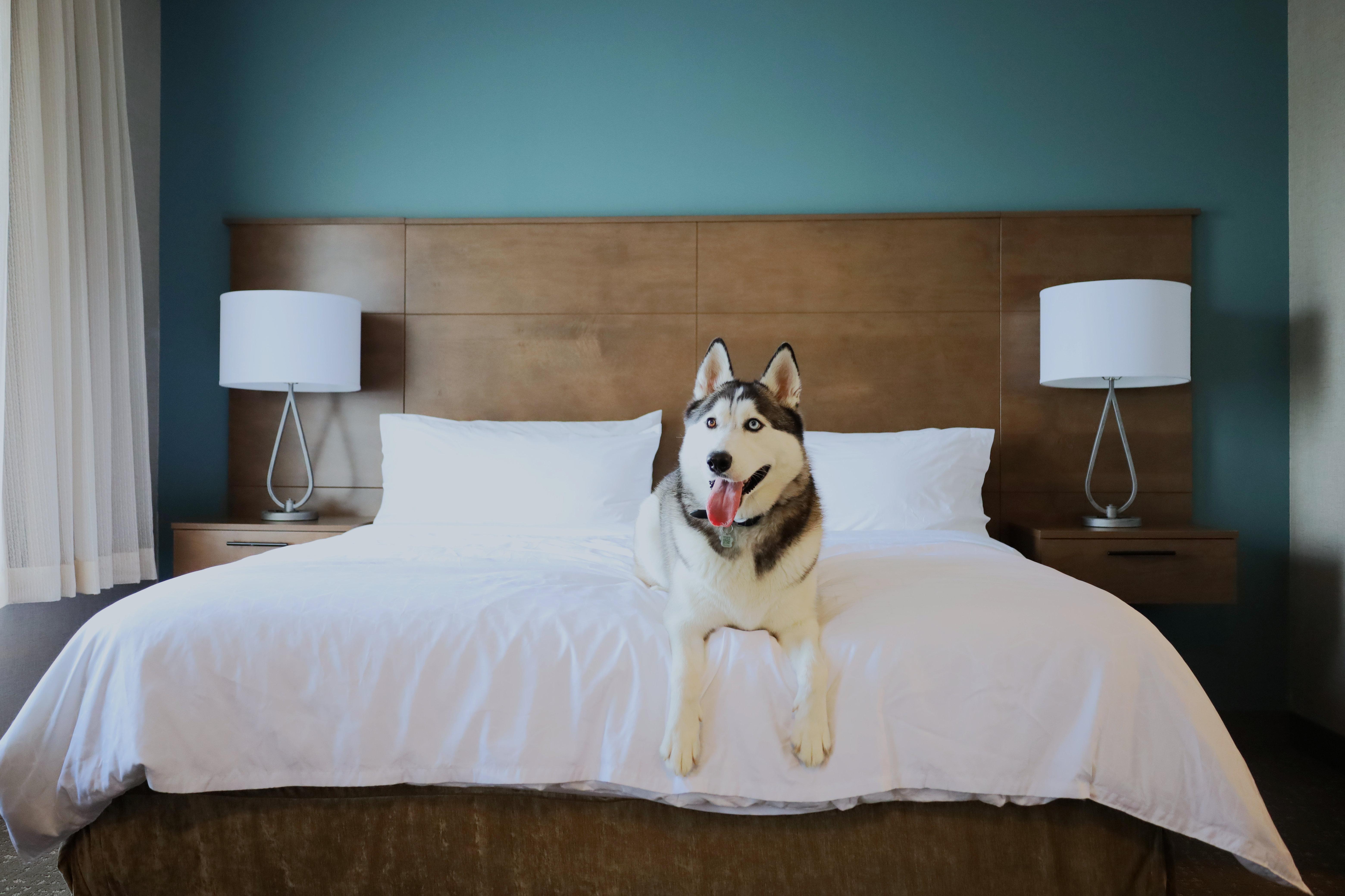 Staybridge - - St. Jacobs Area 3* Waterloo